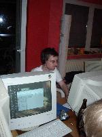 stinglan (3).jpg